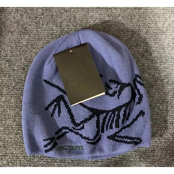 Pipo ARC'TERYX Miesten Pipo Rento Lämmin Talvi Laskettelu Päähine Light Blue