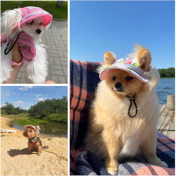 Verano mascota sombrero para el sol perro deportes al aire libre protección solar sombrero para el sol perros pequeños cachorros gatos pink S
