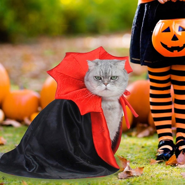 Hundekappa Kostym Husdjurskostym Vampyrkappa Häxkostym för Små och Mellanstora Hundar Katter Valp