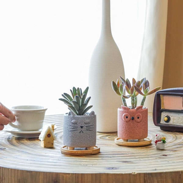 7CM Søde Dyre Plantepotter, Små Dyre Plantekasser med Underskål Sæt med 6, Små Keramiske Potter til Sukkulenter Kaktus, (Ingen Planter)
