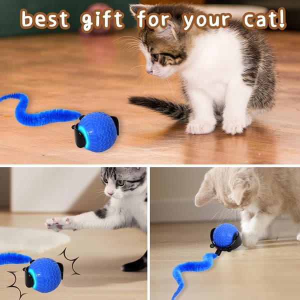 QILUCKY Speedy Tail - kissanlelu