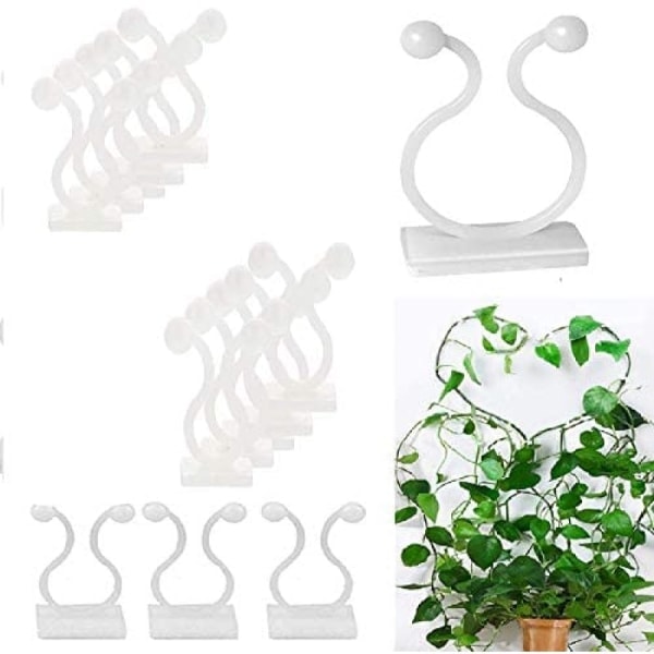 50-pack växtklämma självhäftande växtklättringsvägg small