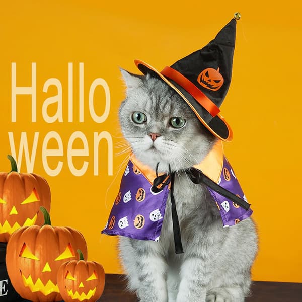 Kæledyrs kostume, kat troldmand formet kappe og hat, hund sjov rollespil kappe med hætte sæt til pumpkin