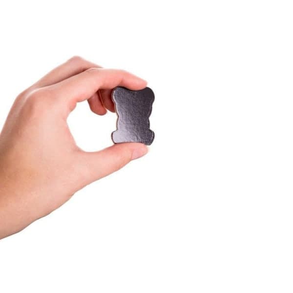 12-pack - Stark kylskåpsmagneter / Magneter - Djur flerfärgade