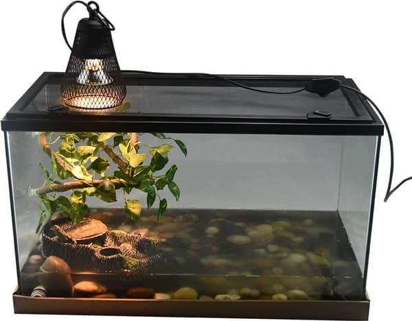 50W Varmelampe til Terrarium til Reptiler