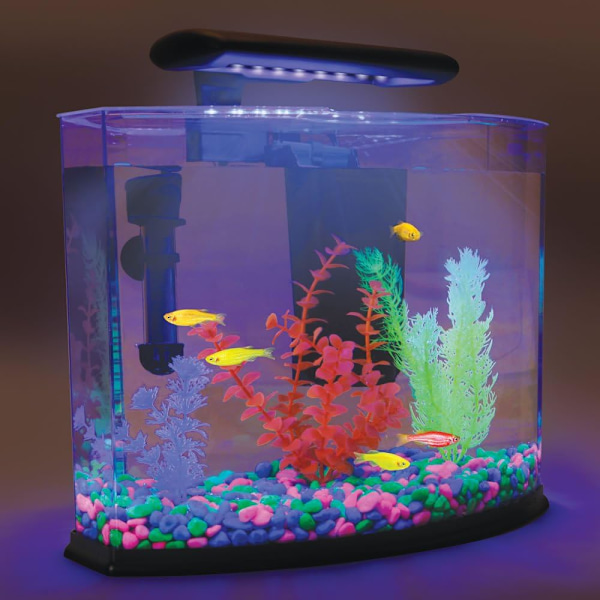 Glødesteiner / Glødepiggsteiner / Blå Dekorglødesteiner for Hage / Akvarium
