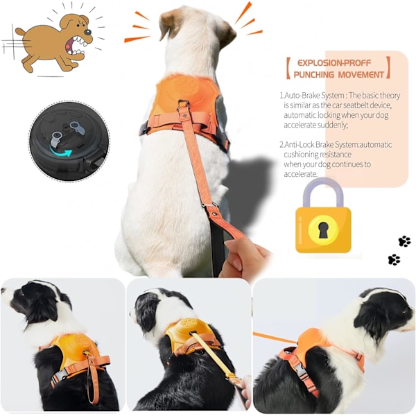 Hunde sele med indtrækkelig snor som én, no-pull hunde sele med justerbar blød polstret vest 4,2ft automatisk låsende hundesnor med 2 snor clips(L) L