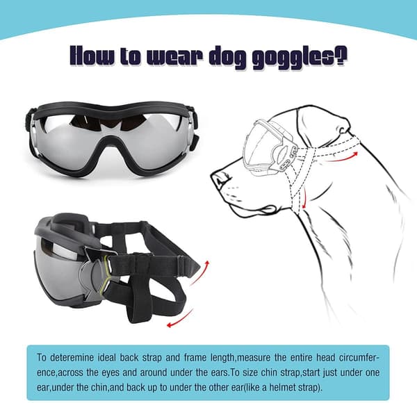 Hunde Briller UV-Beskyttelse Vanntette Vindtette Øyebeskyttelse
