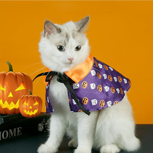 Husdjursdräkt, katt trollkarl formad kappa och hatt, hund rolig rollspelskappa med huva set för pumpkin