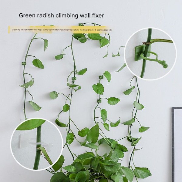 50-pack Växtklämmor Självhäftande Växtklättervägg (Grön Medium) green Medium