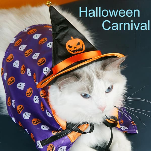 Kæledyrs kostume, kat troldmand formet kappe og hat, hund sjov rollespil kappe med hætte sæt til pumpkin