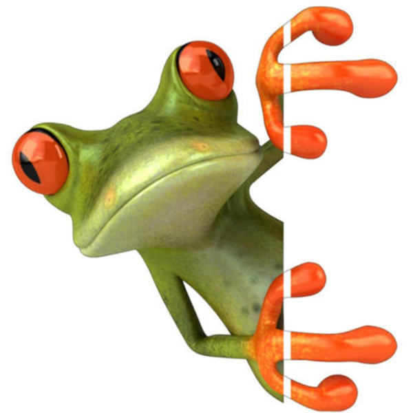 3D Bilstereo Groda Dekal Biltillbehör