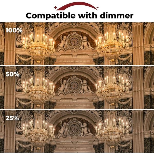 42w E14 C35 Dæmpbar halogenpære Ac 220-240v Varm hvid 2700k E14 Transparent halogenpære (10 stk.) (FMY)