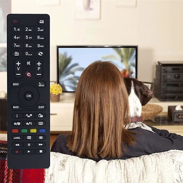 Erstatningsfjernkontroll for TV RC4875/RC4870 Ingen installasjon nødvendig