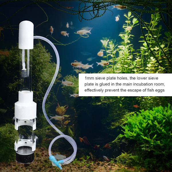 40mmx30cm Akryl Akvarium Cichlider Tumbler Inkubator Fiske Yngel Klekkeri Egg