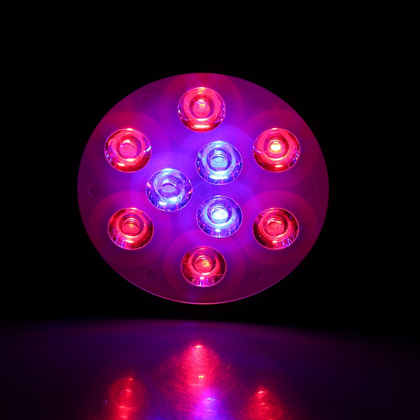 220V Musta 9 LED:n Kasvilampun Kasvatusvalo Sisätiloihin, Säädettävä, Kiinnikkeellä (Musta 9 LED)