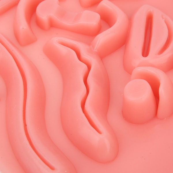 Laparoskopisk Simuleringsstygn 3D Silikonmodul Kirurgisk Hudsömnad för Undervisning och Demonstration