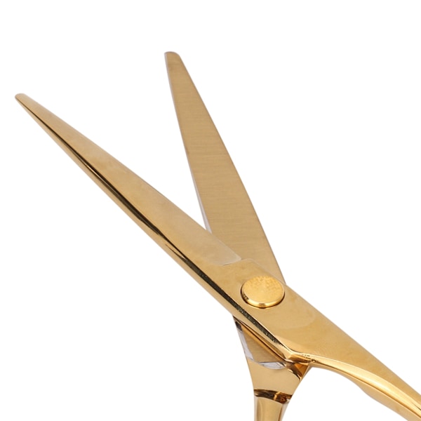 Profesjonelle Hårklippings Saks - Flatt - Salong Barber Hårklippings Saks (Gull)