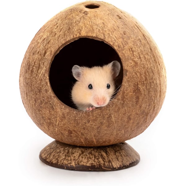 Coconut Hut Hamster House Bed: for Gerbils Mice Small Animal