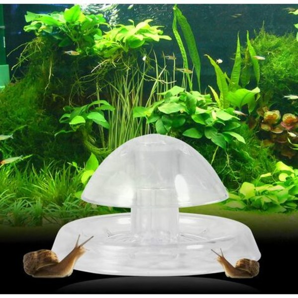 Snigel fälla med bete för akvarium fisk tank transparent