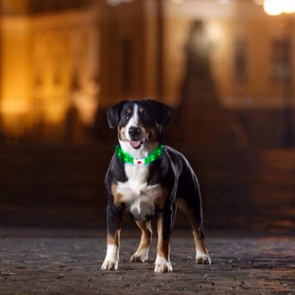 Uppladdningsbara självlysande halsband för nattpromenader, hundhalsband för husdjurssäkerhet med snabb blinkning, långsam blinkning, fast ljusläge, USB