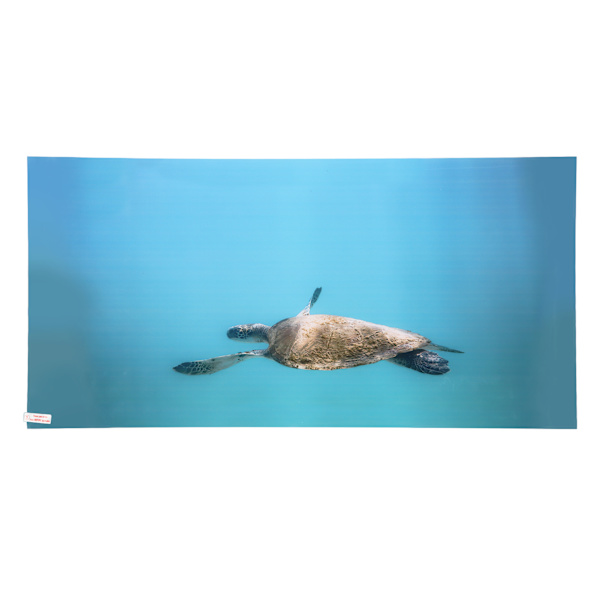 Akvaarion Taustakuva Paperi PVC Itseliimautuva 3D-efekti Kalatankki Koriste Poster 61x41cm