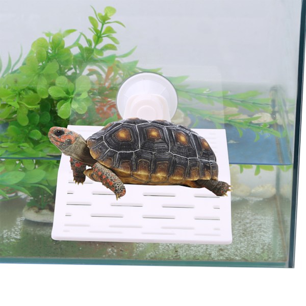 Akvarium Fiske Tank Skildpadde Skildpadde Tag Terrasse Platform Glat Design