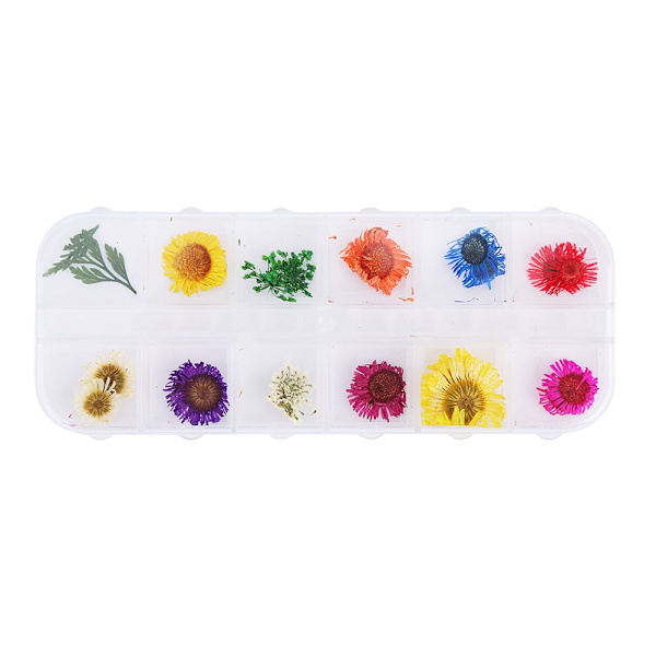 12 Färger Naturliga Torkade Blommor för Akryl UV Gel Nagelkonst Tips Design Case DIY Dekoration B