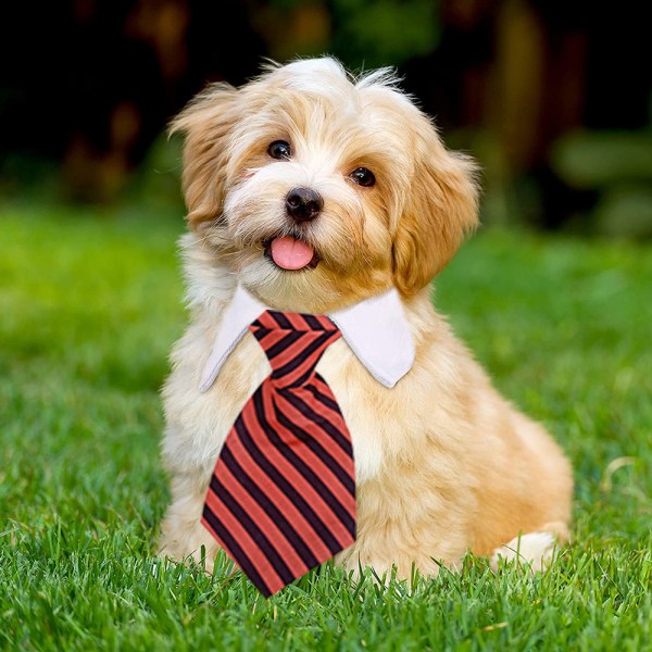 1 stk. Justerbar kjæledyr hund katt sløyfe Kjæledyr kostyme slips