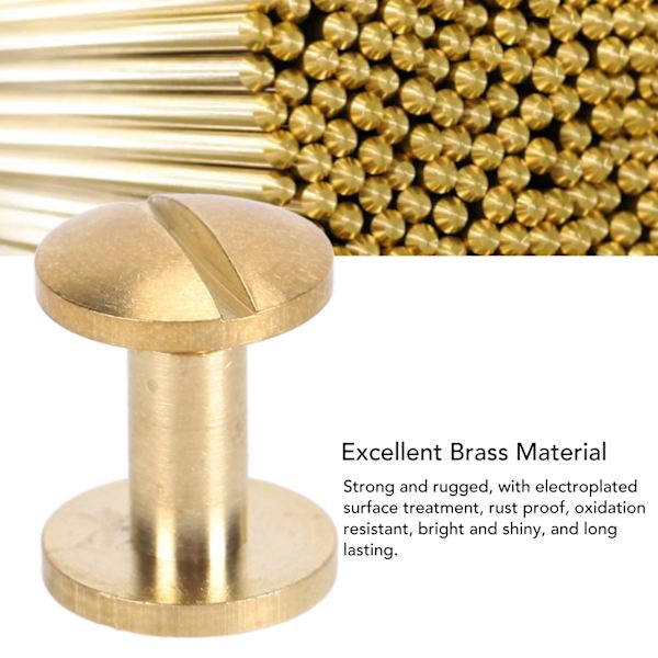 50 Set Läderfästen Kit Nitar för Bindande Bälte Rem Krage Ryggskruvar Läderverktyg 10x8mm