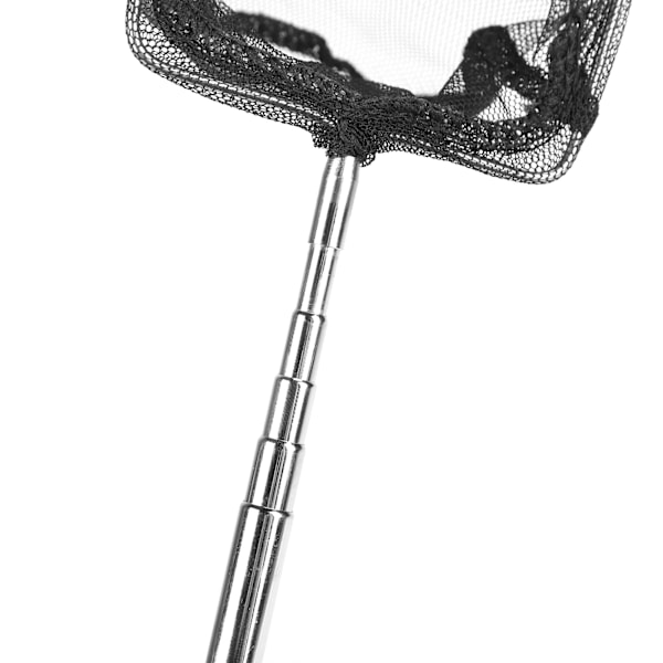 Udtrækkelig Fiskenet af Rustfrit Stål Teleskopisk Landing Net til Tank Søer (8' (20*15* (14-51) cm))