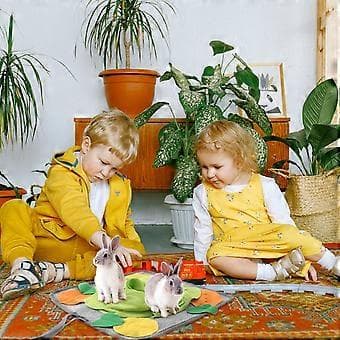 1st Kanin Foder Matta Rolig Interaktiv Nosarbete Litet Djur Matningsmatta
