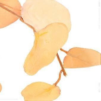 2 stk. Simulerte Eukalyptusblader Stilker Bryllupsplante Dekor Bryllup Kunstig Plante Bladstilker