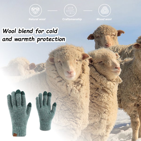 Vinter berøringsskjerm for kvinner, magiske hansker i ull, varmstrikket fleece Li
