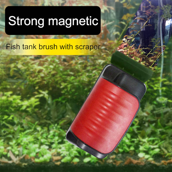 Magnetisk Akvarium Rengöringsborste Dubbelsidig Flytande Glasrengörare med Alg Skrapa Repfri (S)