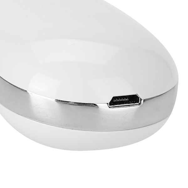 Photon Terapi RF EMS Mikrovibration Skønheds Maskine Rynkefjernelse Ansigtsløftning Hvid