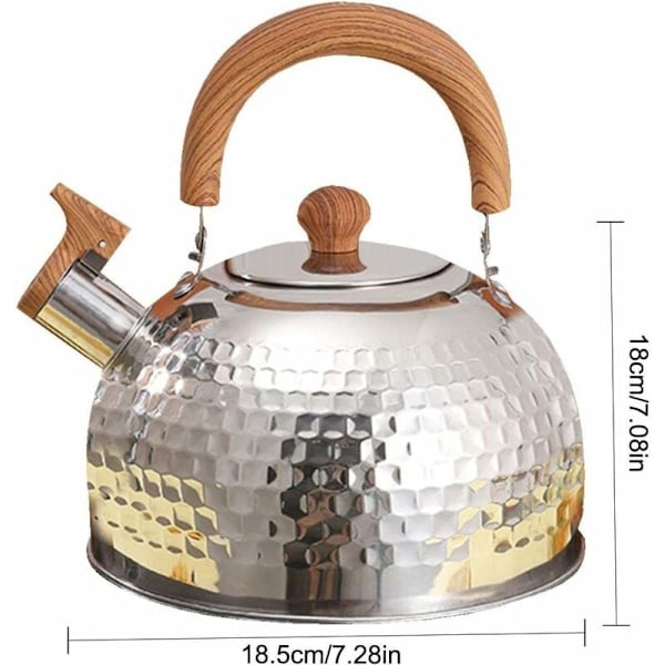 Elegant vattenkokare i rostfritt stål, Högt visslande ljud, Värmeisolerat handtag, Snabb värmehållning för induktions- och gasspisar (2 L)
