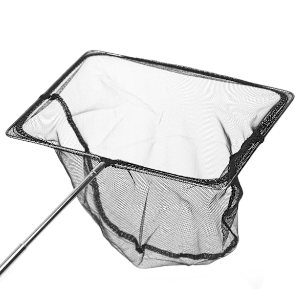 Udtrækkelig Fiskenet af Rustfrit Stål Teleskopisk Landing Net til Tank Søer (8' (20*15* (14-51) cm))