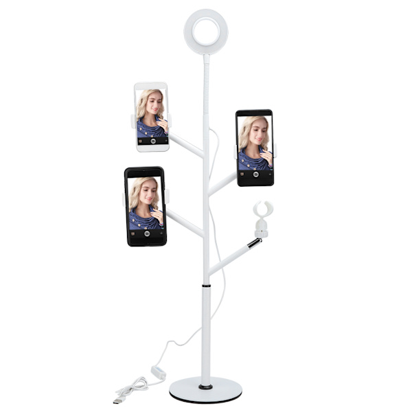 LED Ringlys for Live Streaming, Studiofotografering, Salong, Tatovering, Fylllys (Svart)