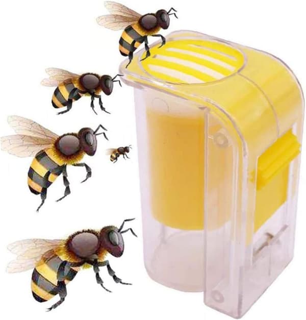 Queen Bee Bottle One Hand Marker Bottle 1 Piece Plastic Queen Be