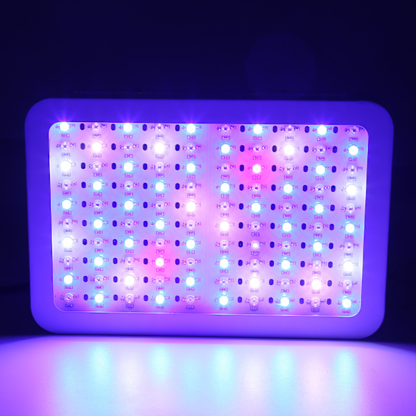 Vækstlys Panel 100 LED'er 1000W Fuld Spektrum Plantelampe Dobbeltkontakter til Spirende Blomstringsperiode EU Stik 85-265V