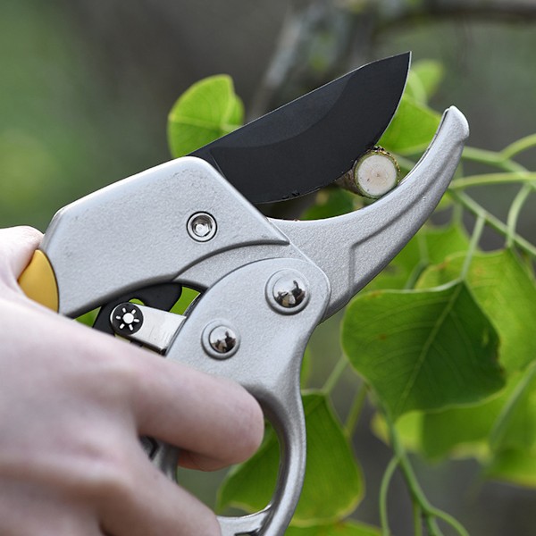 Spärrsekatör, Multifunktionell Beskärningssax För Trädgårdsarbete, Köksträdgård Och Landskapsarbete, Rostskyddande Teflonbeläggning, Ergonomisk Komfort