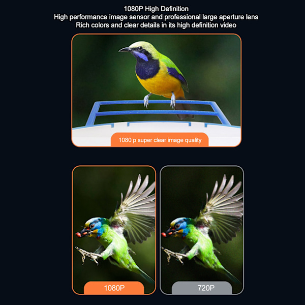 Smart Fuglemater Kamera Trådløs Nattesyn Fjernovervågning To-vejs Lyd Fuglekiggeri Alarm Cam IP65 Vandafvisende til Udendørs