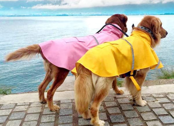 Justerbar regnfrakke med hætte til hunde, vandtæt