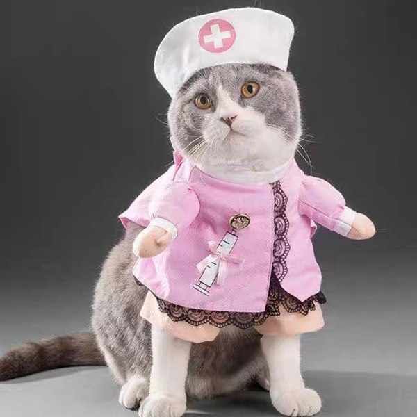 Pet Hund Kat Halloween Kostume Doctor Sygeplejerske Kostume Hunde Jeans