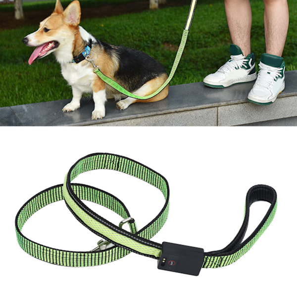 LED Dog Leash Telescopic Night Safety Luminous Dog Traction Rope for Small Medium DogsGreen