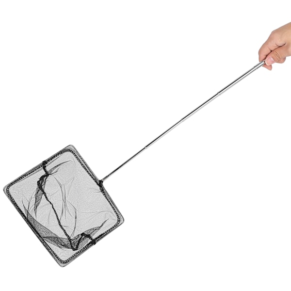 Udtrækkelig Fiskenet af Rustfrit Stål Teleskopisk Landing Net til Tank Søer (8' (20*15* (14-51) cm))