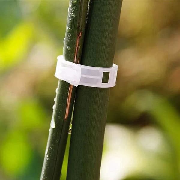 Plantestøtte Haveclips til lige vækst, Quick Release Design for nem håndtering