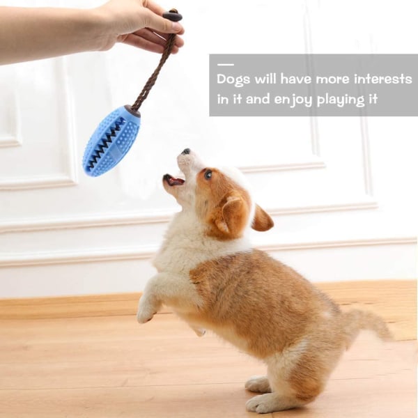 BTkviseQat Zahnbürsten-Stick,Hundezahnbürste Hundespielzeug
