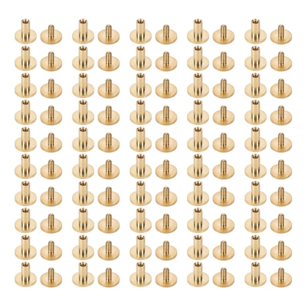 50 Set Läderfästen Kit Nitar för Bindning Bälte Rem Krage Baksideskruvar Läderverktyg 10x10mm